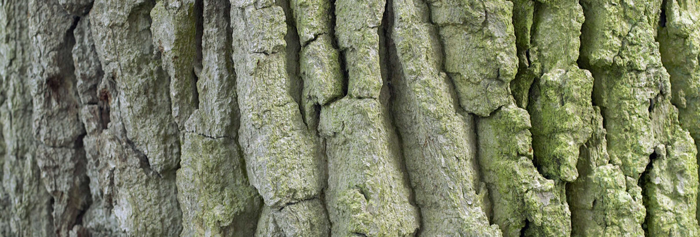 Bildbeschreibung fehlt