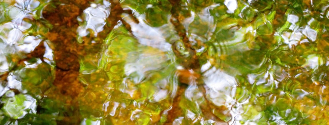 Bildbeschreibung fehlt